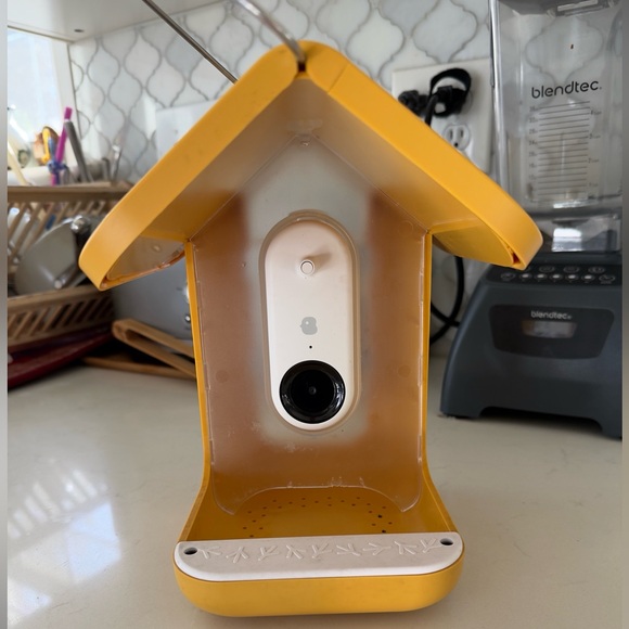 Bird buddy in yellow - Picture 2 of 3